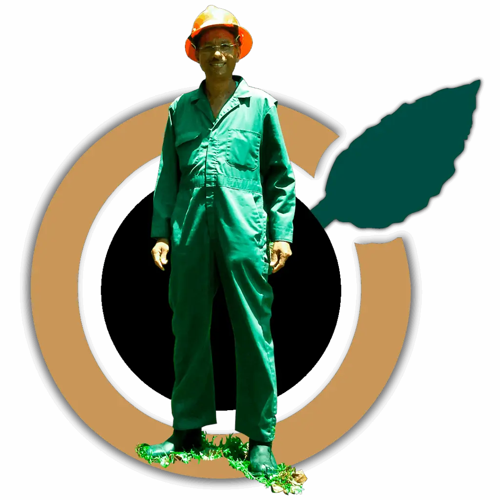 Unidad del Equipo Bioclatrato, Saneando el planeta