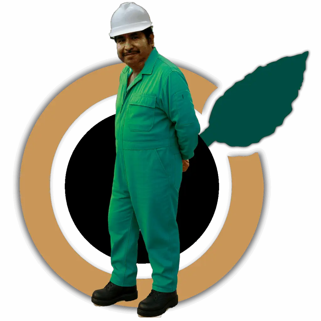 Unidad del Equipo Bioclatrato, Saneando el planeta